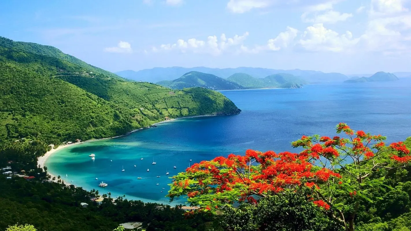 高效稳定性